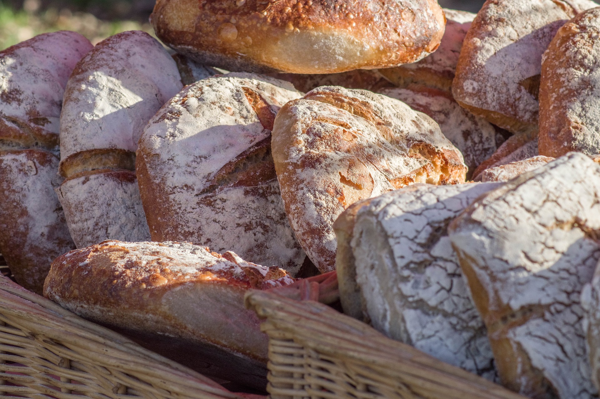 לחם מחיטה מלאה והקשר לתזונה בריאה
